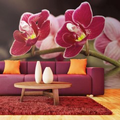 Artgeist Fototapete - Delikate Orchideen auf Wasser