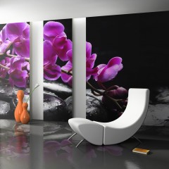 Artgeist Fototapete - Pure Harmonie: Orchidee und Zen-Steine