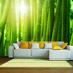 Artgeist Fototapete - Sonne und Bambus