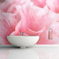 Artgeist Fototapete - Pinke Blüte der Azalee