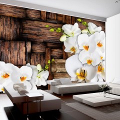 Artgeist Fototapete - Blooming orchids