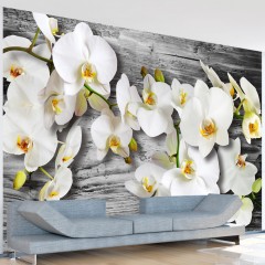 Artgeist Fototapete - Callous orchids III