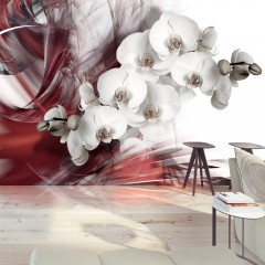 Artgeist Fototapete - Orchid in red