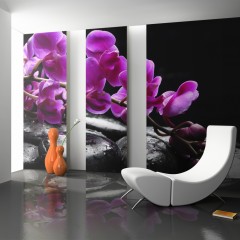 Artgeist Fototapete - Pure Harmonie: Orchidee und Zen-Steine