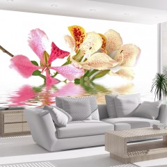 Artgeist Fototapete - Tropische Blumen (bauhinia)