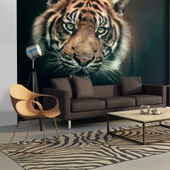 Artgeist Fototapete - Bengal Tiger