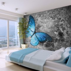 Artgeist Fototapete - Blue butterfly