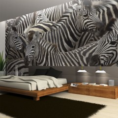 Artgeist Fototapete - Herde von Zebras
