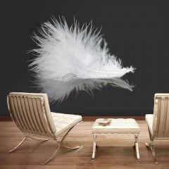Artgeist Fototapete - White feather