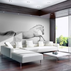 Artgeist Fototapete - White gallop