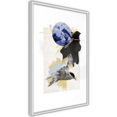 Poster - Antarctic Tern [Poster]