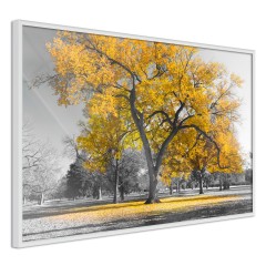 Poster - Autumn in the Park (Gold) [Poster]