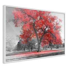 Poster - Autumn in the Park (Red) [Poster]