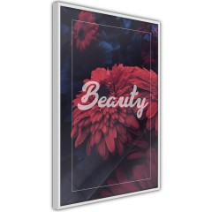 Poster - Beauty [Poster]
