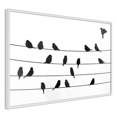 Poster - Bird Family [Poster]