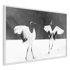 Poster - Dancing Cranes [Poster]