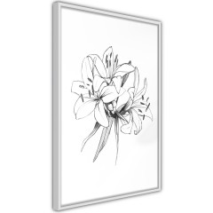 Poster - Drawn Flowers [Poster]