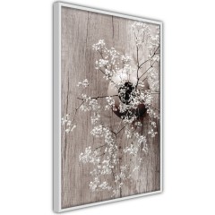 Poster - Dried Flowers [Poster]
