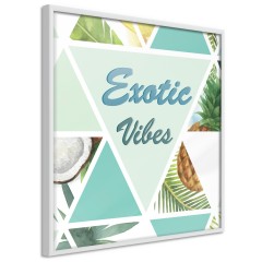 Poster - Exotic Vibes (Square) [Poster]