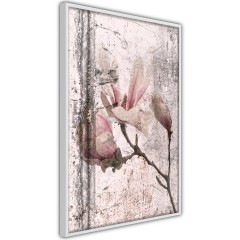 Poster - Exquisite Magnolia [Poster]