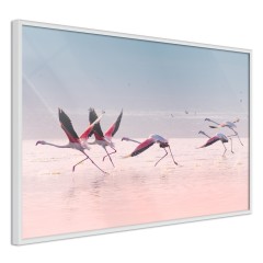 Poster - Flamingos Race [Poster]