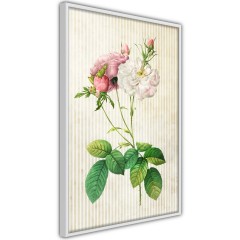 Poster - Floristic Chic [Poster]