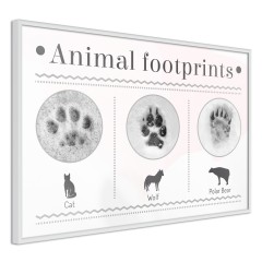 Poster - Footprints [Poster]
