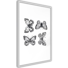 Poster - Four Butterflies [Poster]