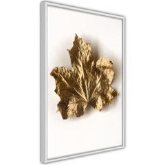 Poster - Golden Maple [Poster]
