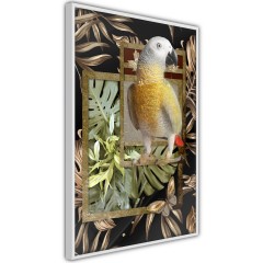 Poster - Golden Parrot [Poster]