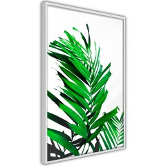 Poster - Juicy Leaf [Poster]