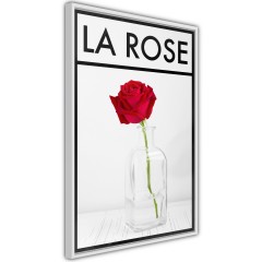 Poster - La Rose [Poster]