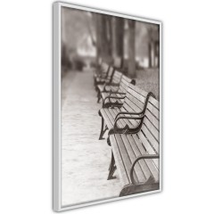 Poster - Park Benches [Poster]