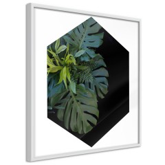 Poster - Plant Hexagon (Square) [Poster]