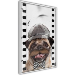 Poster - Pug In Hat [Poster]