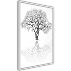 Poster - Reflection Tree [Poster]
