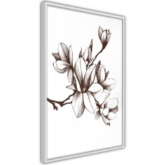 Poster - Renaissance Magnolias [Poster]