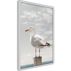 Poster - Seagull [Poster]