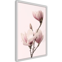 Poster - Seasonal Flowers [Poster]