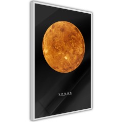 Poster - Venus [Poster]