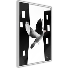 Poster - White Dove [Poster]