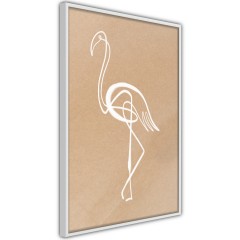 Poster - White Flamingo [Poster]
