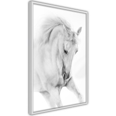 Poster - White Horse [Poster]