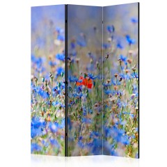Artgeist 3-teiliges Paravent - A sky-colored meadow - cornflowers [Room Dividers]