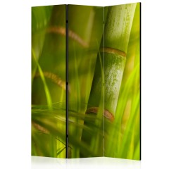 Artgeist 3-teiliges Paravent - bamboo - nature zen [Room Dividers]