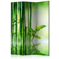 Artgeist 3-teiliges Paravent - Bamboo Grove [Room Dividers]