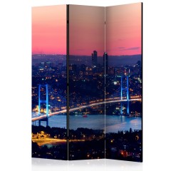 Artgeist 3-teiliges Paravent - Bosphorus Bridge [Room Dividers]