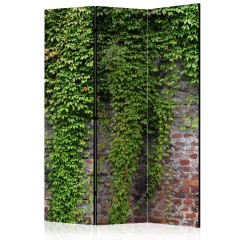 Artgeist 3-teiliges Paravent - Brick and ivy [Room Dividers]