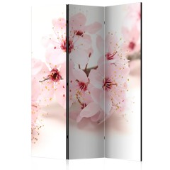 Artgeist 3-teiliges Paravent - Cherry Blossom [Room Dividers]