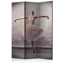 Artgeist 3-teiliges Paravent - Classical dance - poetry without words [Room Dividers]